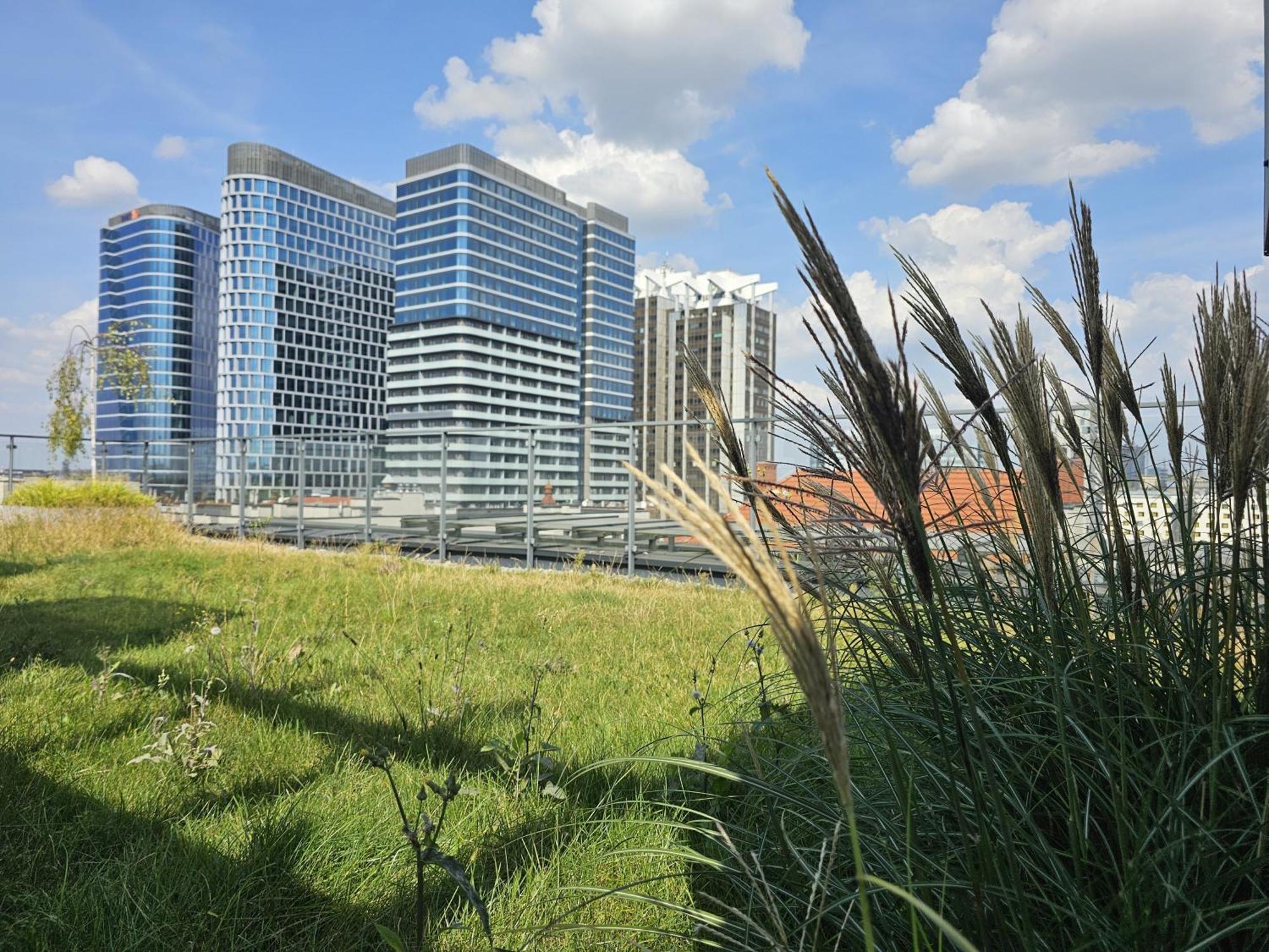 Urban Apartments Premium, Opolska 10 No 77A, Free Garage, Self Check-In Katowice Exterior foto